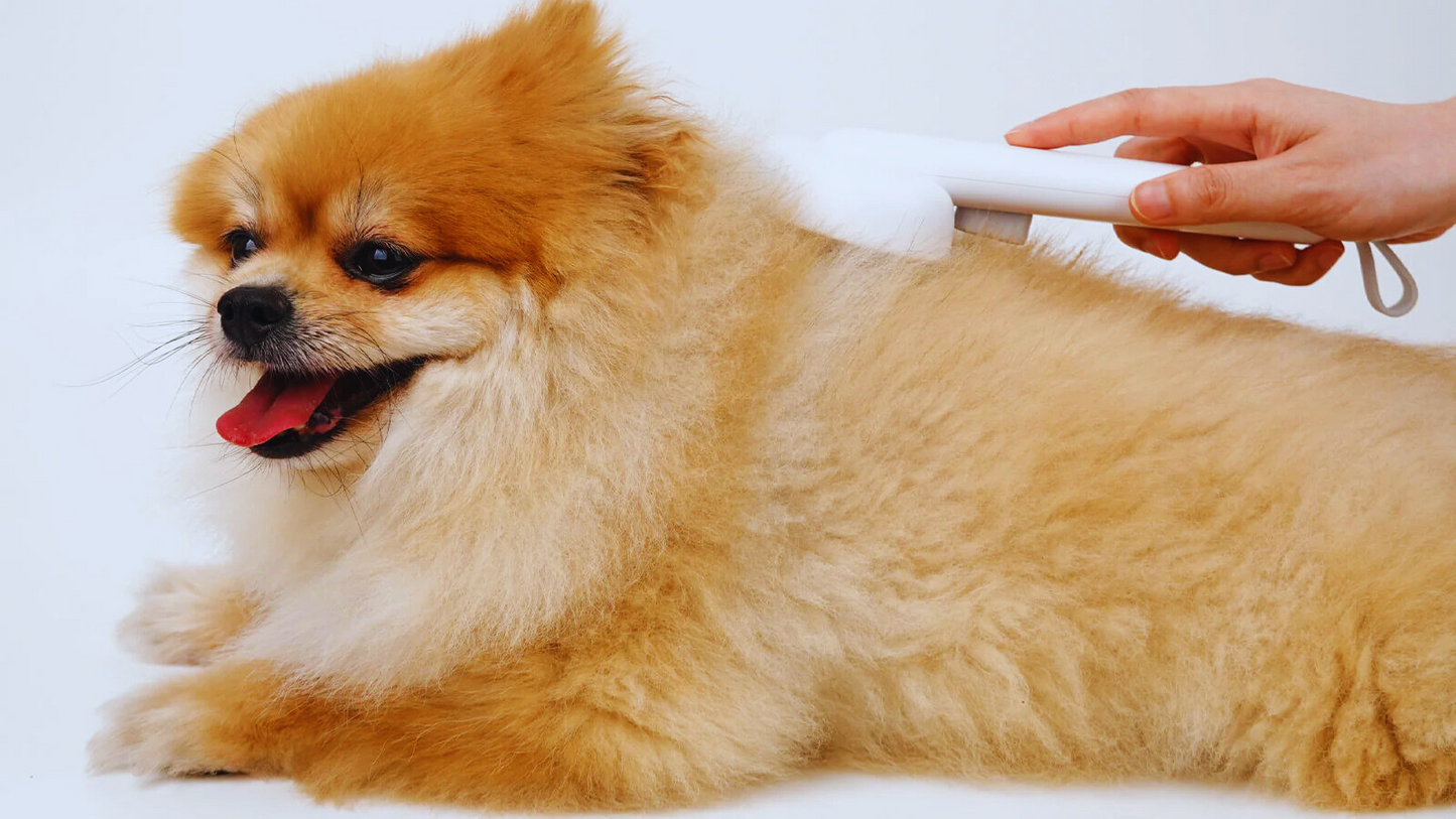 Pet Self Cleaning Brush